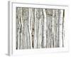 Birch Wood-PhotoINC-Framed Art Print