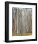 Birch Woods-Elissa Gore-Framed Art Print