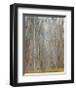 Birch Woods-Elissa Gore-Framed Giclee Print