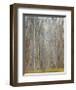 Birch Woods-Elissa Gore-Framed Giclee Print