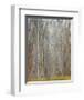 Birch Woods-Elissa Gore-Framed Giclee Print