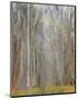 Birch Woods-Elissa Gore-Mounted Giclee Print