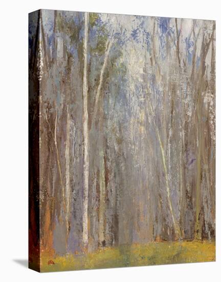 Birch Woods-Elissa Gore-Stretched Canvas