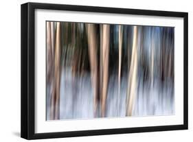 Birchbank in Winter-Ursula Abresch-Framed Photographic Print