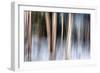 Birchbank in Winter-Ursula Abresch-Framed Photographic Print