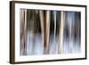 Birchbank in Winter-Ursula Abresch-Framed Photographic Print