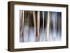Birchbank in Winter-Ursula Abresch-Framed Premium Photographic Print