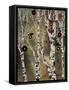 Birches 1-Karla Gerard-Framed Stretched Canvas