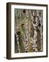 Birches 1-Karla Gerard-Framed Giclee Print