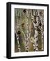 Birches 1-Karla Gerard-Framed Giclee Print