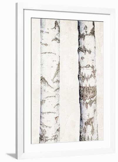 Birches 3-Ann Bailey-Framed Art Print