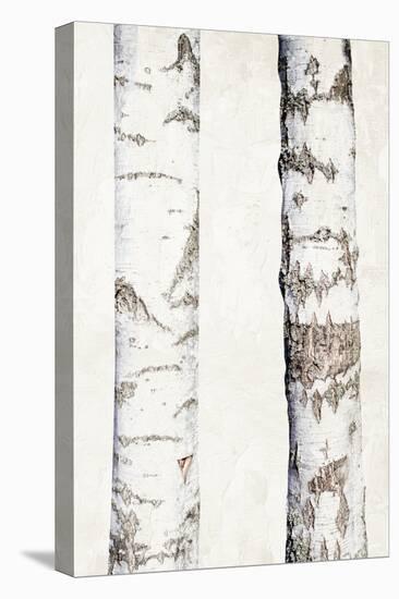 Birches 3-Ann Bailey-Stretched Canvas