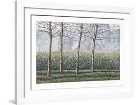 Birches and Corn Field-Oliviero Masi-Framed Collectable Print