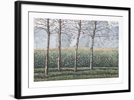 Birches and Corn Field-Oliviero Masi-Framed Collectable Print