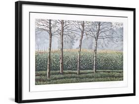 Birches and Corn Field-Oliviero Masi-Framed Collectable Print