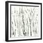 Birches I-Sharon Gordon-Framed Premium Giclee Print