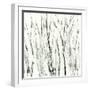 Birches I-Sharon Gordon-Framed Premium Giclee Print