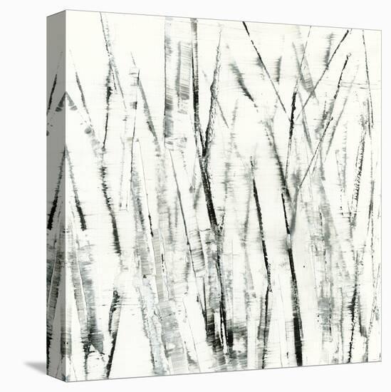 Birches I-Sharon Gordon-Stretched Canvas