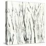 Birches I-Sharon Gordon-Stretched Canvas