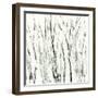Birches I-Sharon Gordon-Framed Art Print