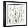 Birches I-Sharon Gordon-Framed Art Print