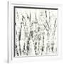 Birches II-Sharon Gordon-Framed Art Print