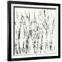 Birches II-Sharon Gordon-Framed Art Print