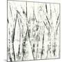 Birches II-Sharon Gordon-Mounted Art Print