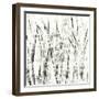 Birches II-Sharon Gordon-Framed Art Print