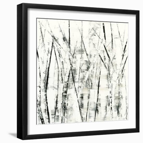 Birches II-Sharon Gordon-Framed Art Print