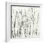 Birches II-Sharon Gordon-Framed Art Print