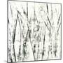 Birches II-Sharon Gordon-Mounted Art Print