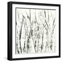 Birches II-Sharon Gordon-Framed Premium Giclee Print