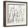 Birches II-Sharon Gordon-Framed Art Print