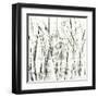 Birches II-Sharon Gordon-Framed Art Print