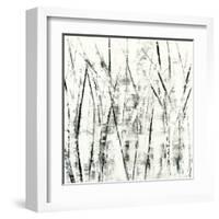 Birches II-Sharon Gordon-Framed Art Print