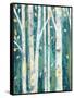 Birches in Spring II-Julia Purinton-Framed Stretched Canvas