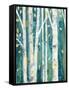 Birches in Spring II-Julia Purinton-Framed Stretched Canvas