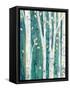 Birches in Spring III-Julia Purinton-Framed Stretched Canvas
