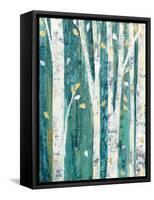 Birches in Spring III-Julia Purinton-Framed Stretched Canvas