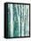 Birches in Spring III-Julia Purinton-Framed Stretched Canvas