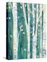 Birches in Spring III-Julia Purinton-Stretched Canvas