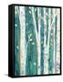 Birches in Spring III-Julia Purinton-Framed Stretched Canvas