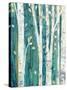 Birches in Spring III-Julia Purinton-Stretched Canvas