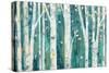 Birches in Spring-Julia Purinton-Stretched Canvas