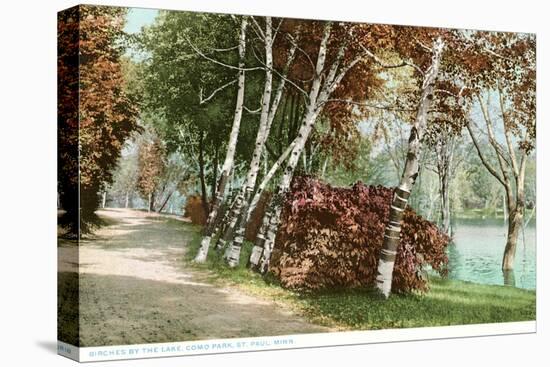 Birches, Lake Como Park, St. Paul, Minnesota-null-Stretched Canvas