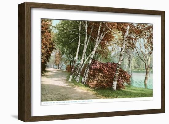 Birches, Lake Como Park, St. Paul, Minnesota-null-Framed Art Print