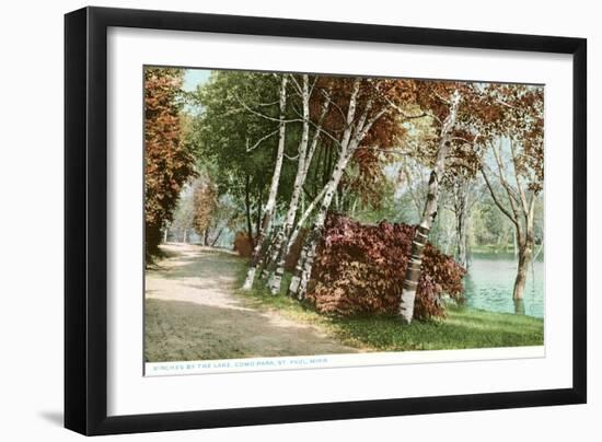 Birches, Lake Como Park, St. Paul, Minnesota-null-Framed Art Print