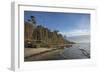 Birches on the Western Beach of Darss Peninsula-Uwe Steffens-Framed Photographic Print