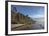 Birches on the Western Beach of Darss Peninsula-Uwe Steffens-Framed Photographic Print